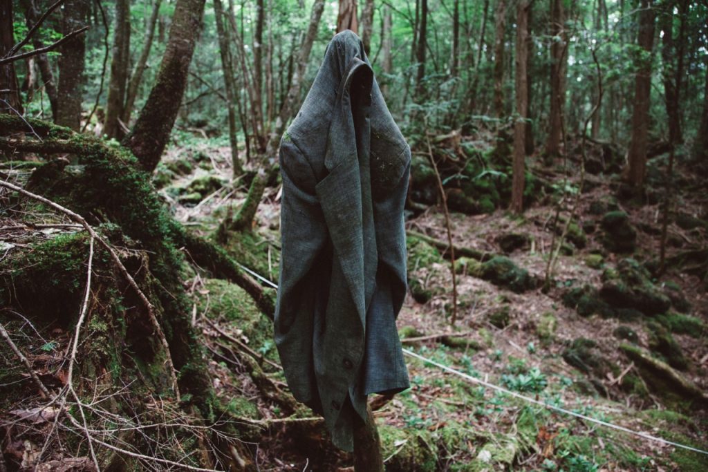 8. Japon İntihar Ormanı Aokigahara Foto. Richard Atrero de Guzaman