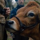 Onur Keşaplı, “First Cow” ve “The Power of The Dog”u İrdelediği Sunumuyla Avrupa Sosyal Bilimler Kongresi’nde
