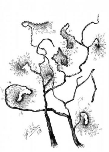 13(anagorsel)